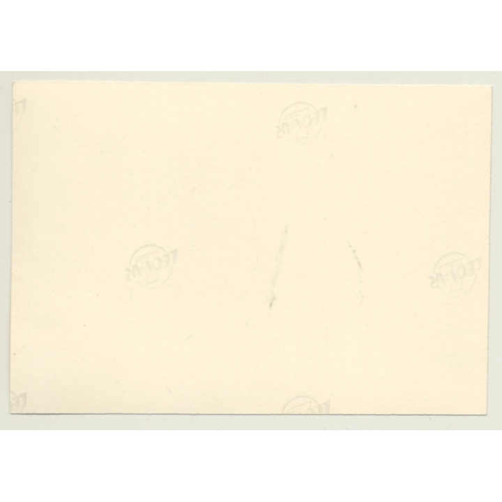 Pretty Brunette Nude Holds Breasts (Vintage Photo ~1950s)