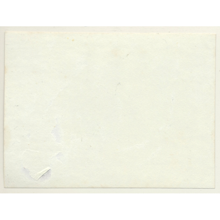 Snapshot: 3 Dogs In Basket / Gordon Setter? (Vintage Albumen Silver Print ~1900s)