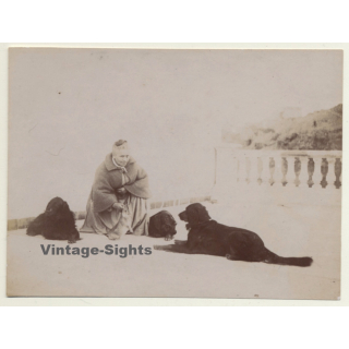 Elder Woman & Her 3 Dogs / Gordon Setter? (Vintage Albumen Silver Print ~1900s)
