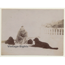 Elder Woman & Her 3 Dogs / Gordon Setter? (Vintage Albumen Silver Print ~1900s)