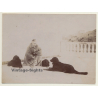Elder Woman & Her 3 Dogs / Gordon Setter? (Vintage Albumen Silver Print ~1900s)
