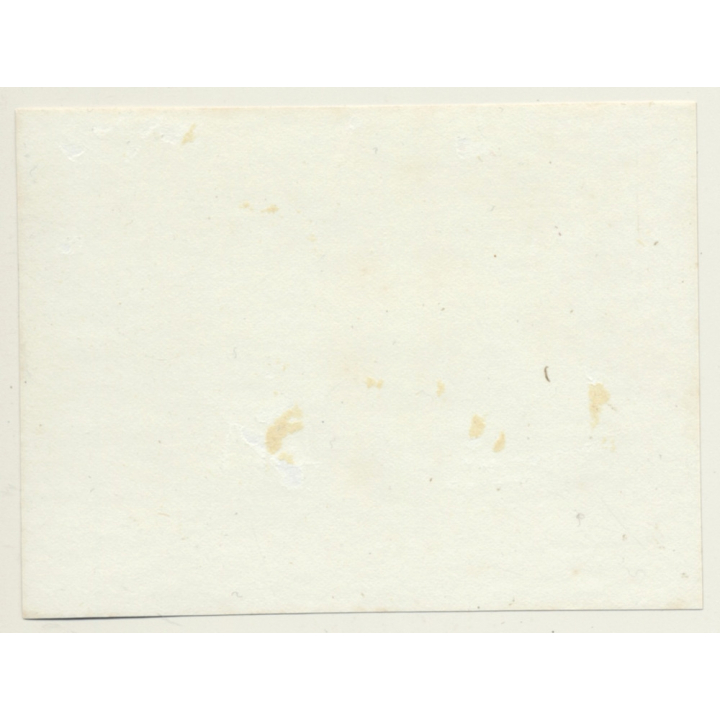 Elder Woman & Her 3 Dogs / Gordon Setter? (Vintage Albumen Silver Print ~1900s)