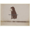 Snapshot: Dog Carries Basket / Gordon Setter? (Vintage Albumen Silver Print ~1900s)