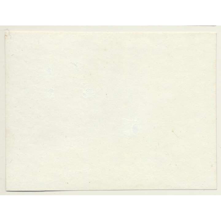 Snapshot: Dog Carries Basket / Gordon Setter? (Vintage Albumen Silver Print ~1900s)