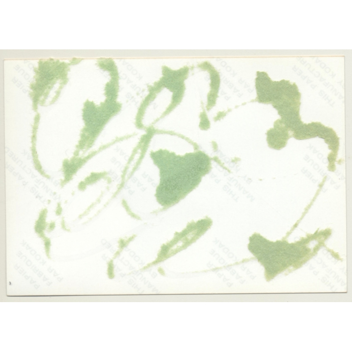 Natural Nude Redhead With Silk Scarf*2 / Tan Lines (Vintage Photo Germany ~1980s)