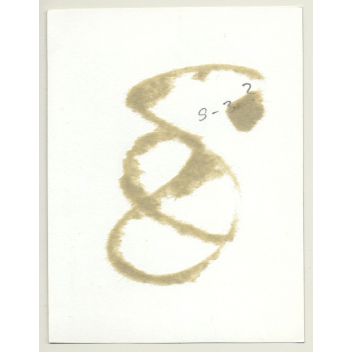 Close-up Of Brunette Nude In Rope Bondage / Gag - BDSM (2nd Gen. Photo  ~1960s)