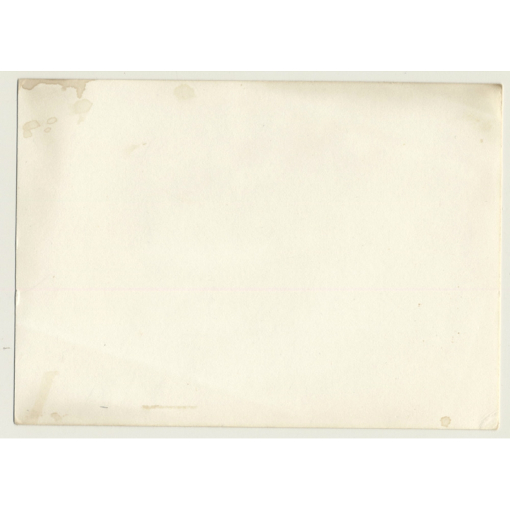 Busty Brunette Nude Lingers On Bed / Scarf - Suspenders (Vintage Photo GDR 1970s)