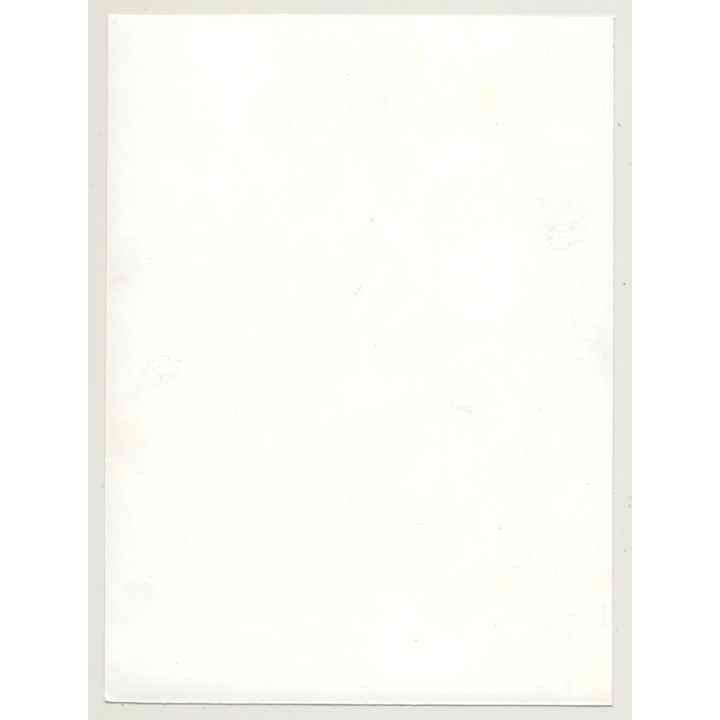 Natural Pretty Nude With Headscarf *7 / Sitting (Vintage Photo Germany ~ 1960s)