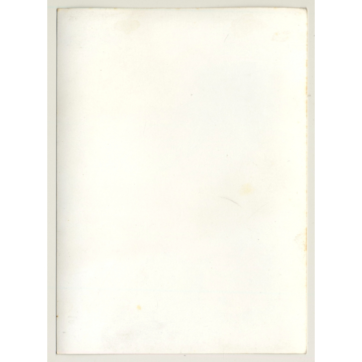 Racy Brunette Semi Nude In Short Skirt / No Panties (2nd Gen. Photo ~1960s)