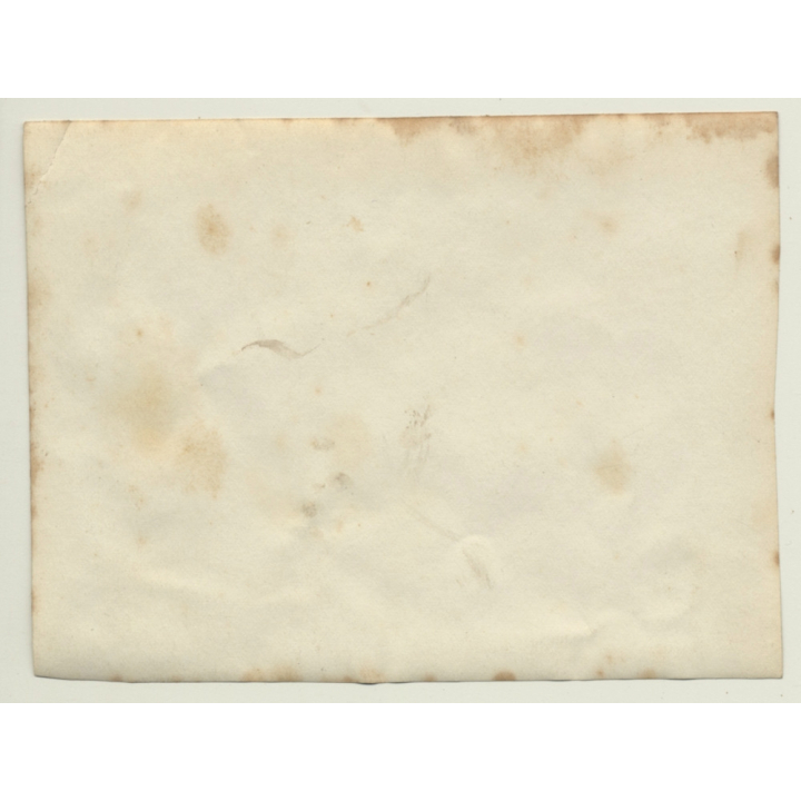 Pipe Factory - Tubes  - Industry / Family & Staff (Vintage Photo ~1900s/1910s)