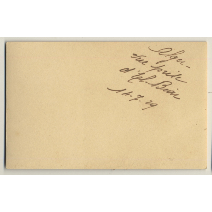 Algiers / Algeria: Panorama View Over El Biar (Vintage Photo Sepia 1929)