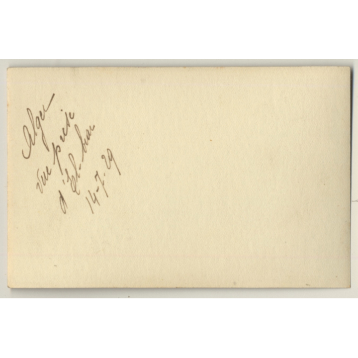 Algiers / Algeria: Panorama View Over El Biar *2 (Vintage Photo Sepia 1929)