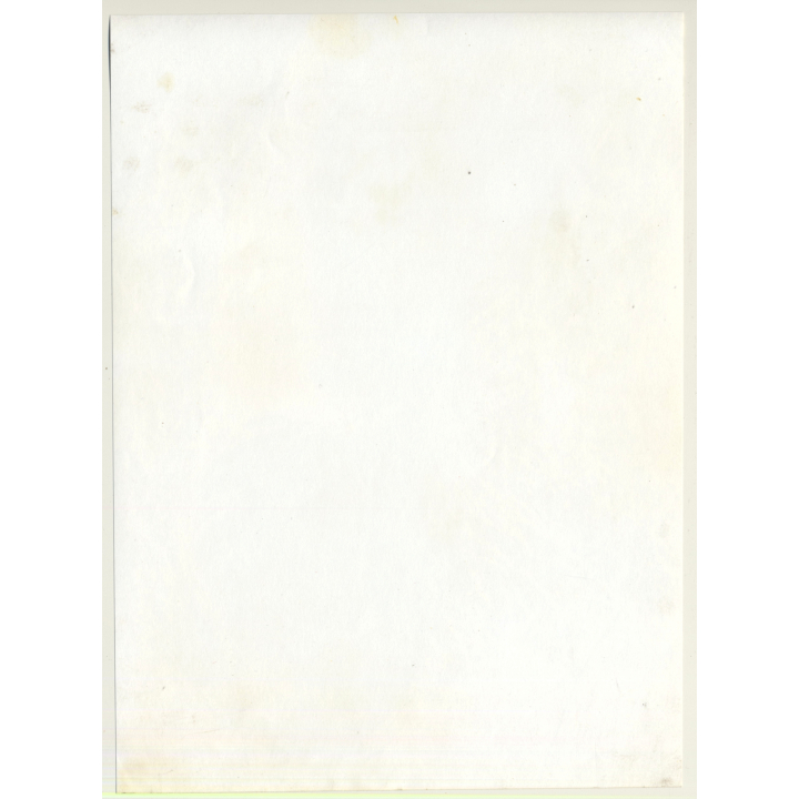 Jerri Bram (1942): Pretty Brunette Nude In High Grass (Vintage Photo ~1970s/1980s)