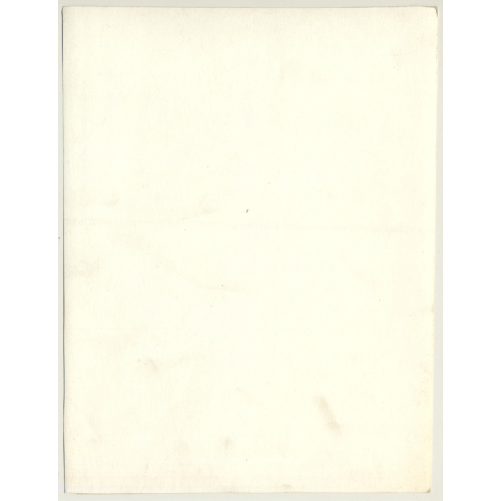 Jerri Bram (1942): Pretty Brunette Nude In High Grass *2 (Vintage Photo ~1970s/1980s)