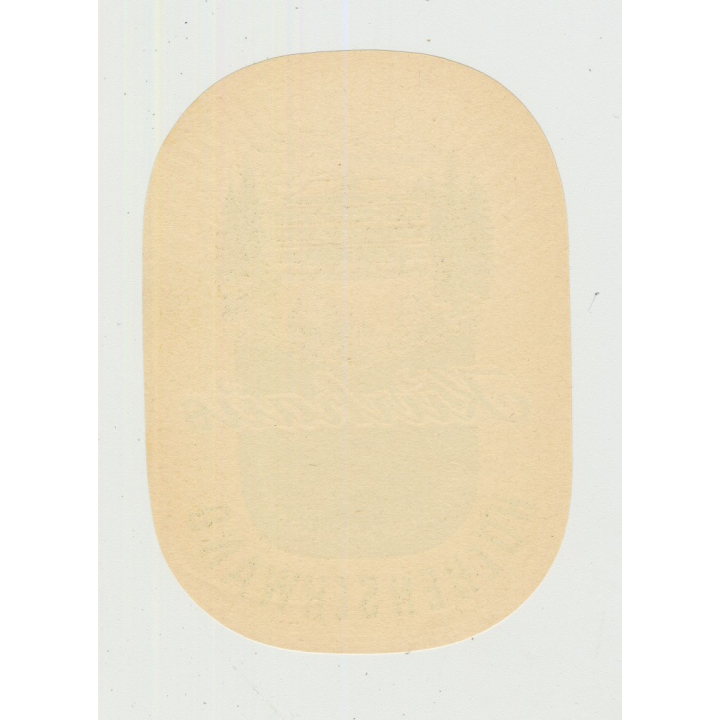 Kurhaus Höchenschwand (Black Forest) / Germany (Vintage Luggage Label)