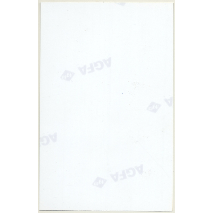 Natural Brunette Female On Meadow / Boobs Flash (Vintage Photo Germany ~1990s)