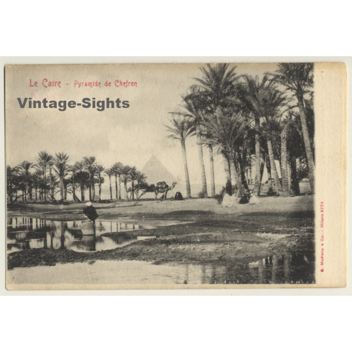 Cairo / Eygpt: Pyramide De Chefren / Camel (Vintage PC ~1900s)