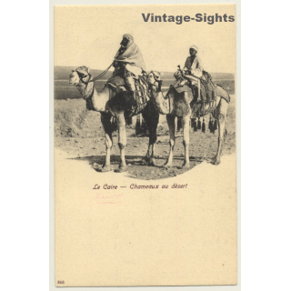 Cairo / Egypt: Chameaux Au Desert / Camel (Vintage PC ~1900s)