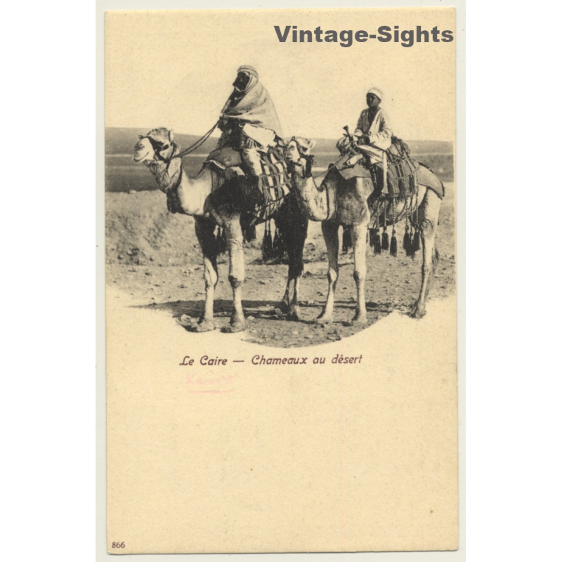 Cairo / Egypt: Chameaux Au Desert / Camel (Vintage PC ~1900s)