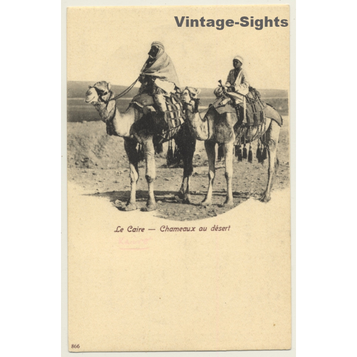 Cairo / Egypt: Chameaux Au Desert / Camel (Vintage PC ~1900s)