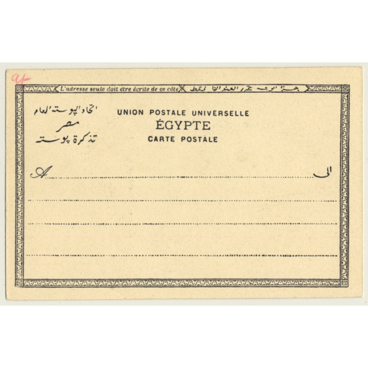 Cairo / Egypt: Chameaux Au Desert / Camel (Vintage PC ~1900s)