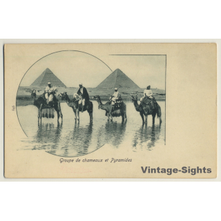Egypt: Groupe De Chameaux Et Pyramides / Camel (Vintage PC ~1900s)