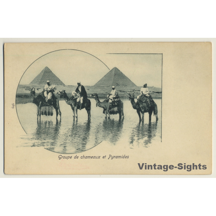 Egypt: Groupe De Chameaux Et Pyramides / Camel (Vintage PC ~1900s)