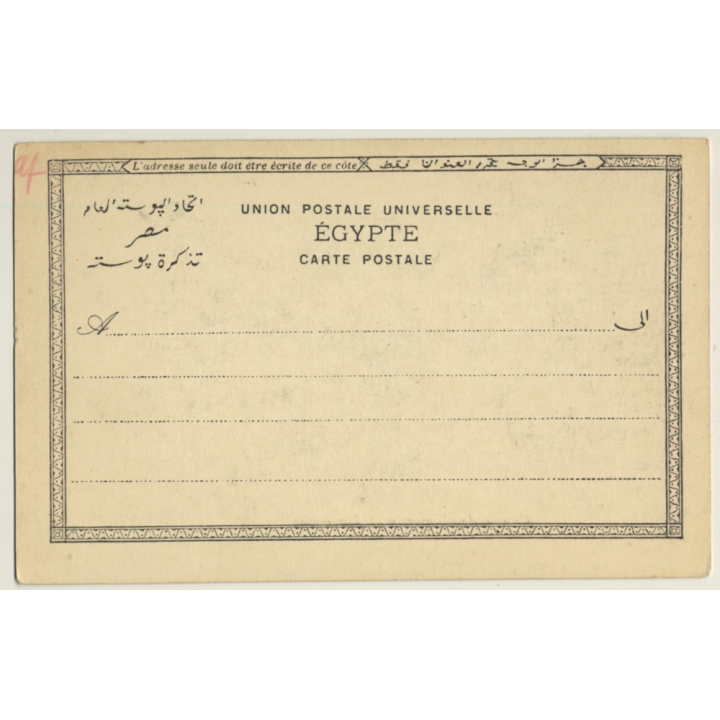 Egypt: Groupe De Chameaux Et Pyramides / Camel (Vintage PC ~1900s)