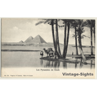 Egypt: Les Pyramides De Gizeh / Camel (Vintage PC ~1900s)