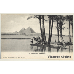 Egypt: Les Pyramides De Gizeh / Camel (Vintage PC ~1900s)