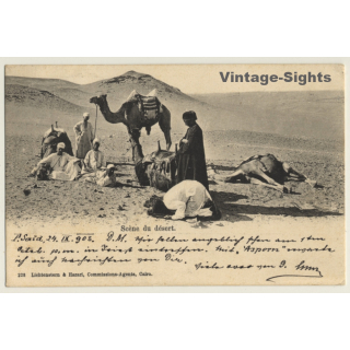 Egypt: Scène Du Désert / Camels & Nomads (Vintage PC 1903)