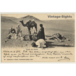 Egypt: Scène Du Désert / Camels & Nomads (Vintage PC 1903)