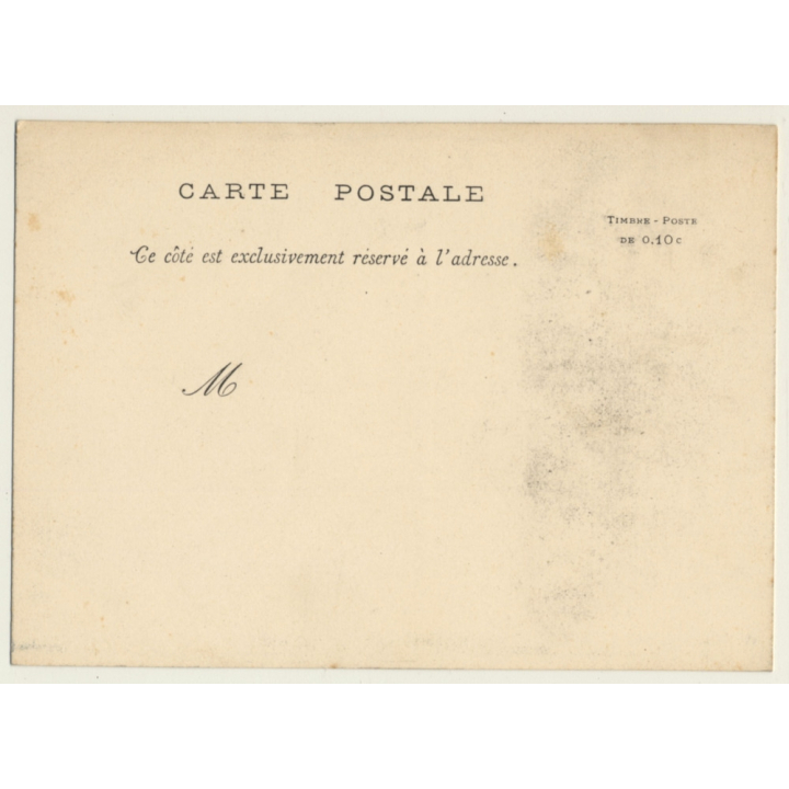 Algeria: Desert Caravan / Camels & Nomads (Vintage PC 1897)