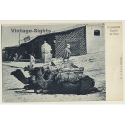 Tanger / Morocco: Camels At Soco / Berber & Nomads (Vintage PC ~1900s)