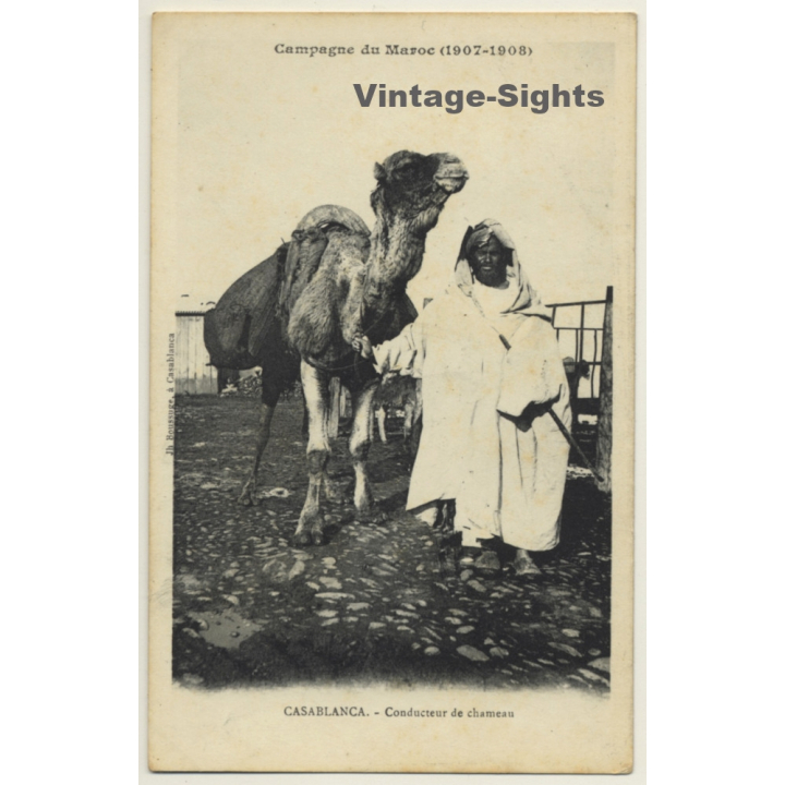 Casablanca: Campagne Du Maroc (1907-1908) / Camel Driver (Vintage PC)