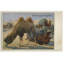 Meinholds Tierbilder: Desert - Camels - Caravan (Vintage Artist PC)