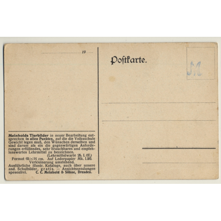 Meinholds Tierbilder: Desert - Camels - Caravan (Vintage Artist PC)