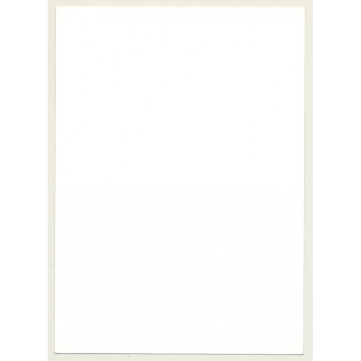 Sweet Blonde Semi Nude Takes Off Blouse *2 / Boobs - Wallpaper (Vintage Photo GDR ~1970s/1980s)