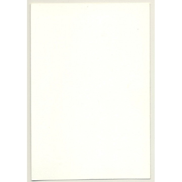 Nude Blonde Woman On Couch / Lingerie (Vintage Photo GDR ~1970s/1980s)