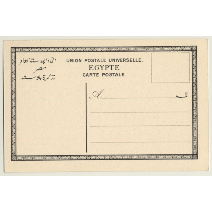 Egypt: Harvesting The Dates / Camels - Ethnic (Vintage PC ~1910s/1920s)