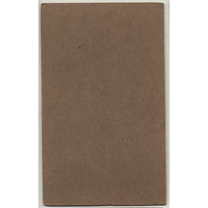 Alfred Thiele / Bodenbach: Portrait Of Natural Woman (Vintage CDV / Carte De Visite ~1880s/1890s)