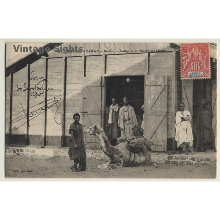 Dakar / Senegal: Boutique Indigéne Et Chamelier Maure / Camel (Vintage PC 1905)