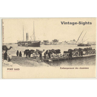 Port Said / Egypt: Embarquement Des Chameaux / Camels On Ferry (Vintage PC ~1900s)