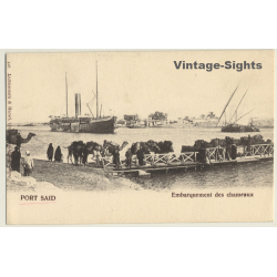 Port Said / Egypt: Embarquement Des Chameaux / Camels On Ferry (Vintage PC ~1900s)