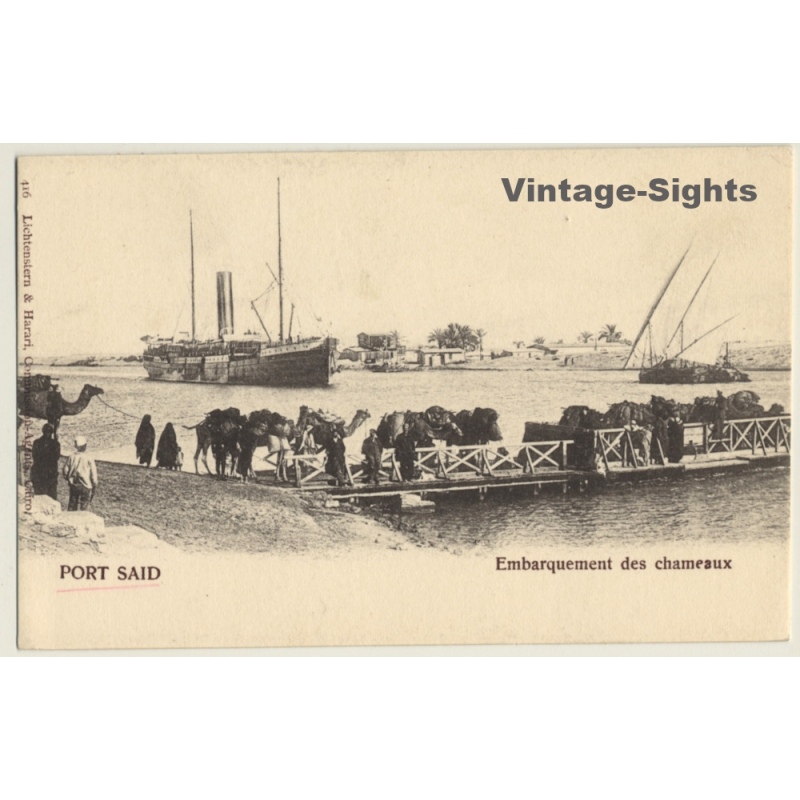 Port Said / Egypt: Embarquement Des Chameaux / Camels On Ferry (Vintage PC ~1900s)