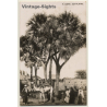 Sudan: Dum Palmtree / Camel - Bedouins - Ethnic (Vintage RPPC ~1910s/1920s)