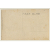 Sudan: Dum Palmtree / Camel - Bedouins - Ethnic (Vintage RPPC ~1910s/1920s)