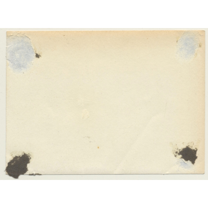 Little Girl Lingers On Real Leopard Skin / Colonial Times - Belgium? (Vintage Photo ~1920s/1930s)