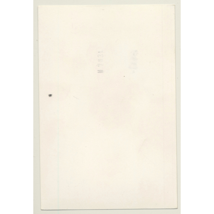 Busty Semi Nude Brunette *1 / Vest - Eyes (Vintage Photo GDR 1980s)