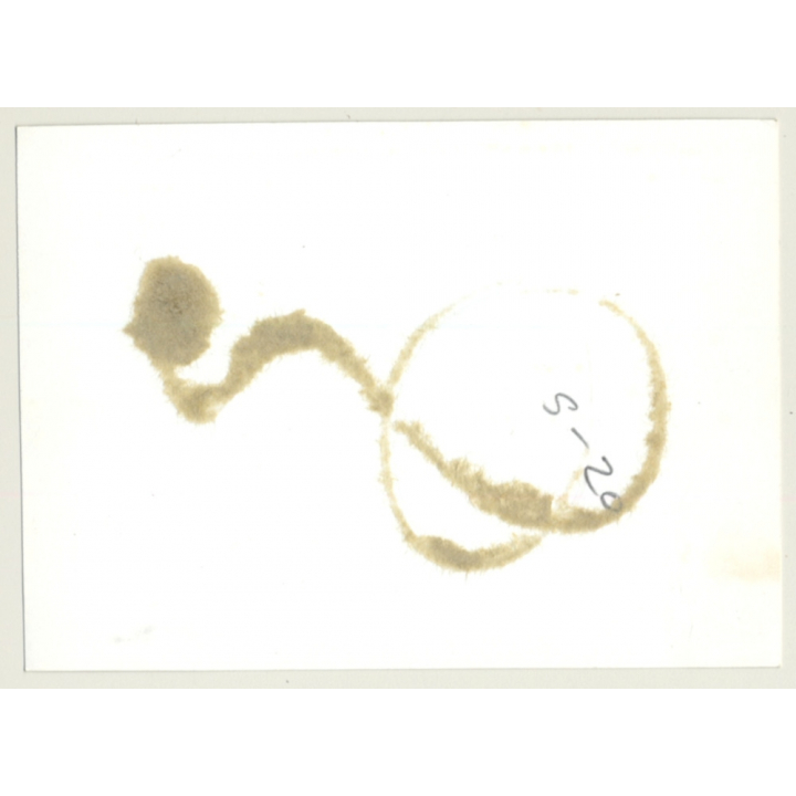 Great Shot Of Dressed Brunette Tied On Floor / Bondage - BDSM (Vintage Photo ~1960s)